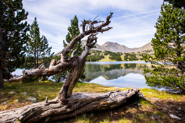 istock Summer landscape in Camporrells, Capcir, Pyrenees, France 2199148764