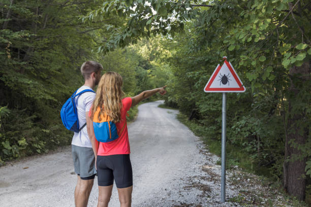 Man and woman hiking near the woods with a tick warning sign Man and woman pointing fingers in the distance while hiking near the woods with a tick warning sign. Risk of tick-borne disease concept. hiking sign stock pictures, royalty-free photos & images