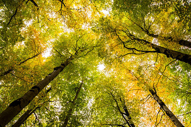 Autumn in Ordesa and Monte Perdido National Park, Spain