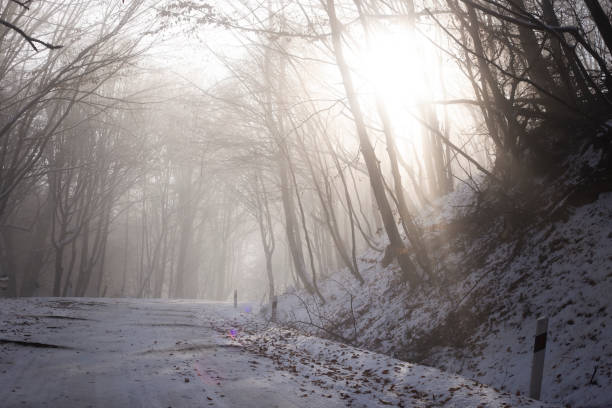 Snowy road in winter passes through a foggy forest