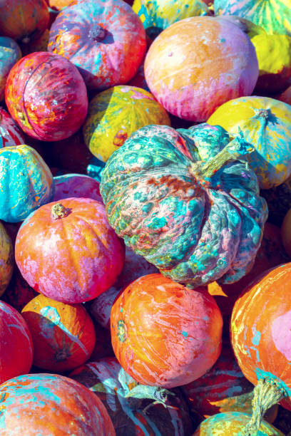 Full frame background of Pumpkins. Many Pumpkins on the grass. Autumn background. Halloween, Thanksgiving, Autumn, Harvest background. Vertical banner