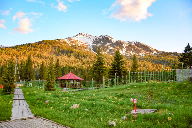 istock view of the field, trees and mountains 2199153460