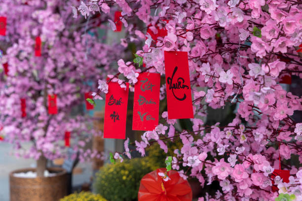 istock Cherry blossoms and red ribbons, lunar new year 2199155125