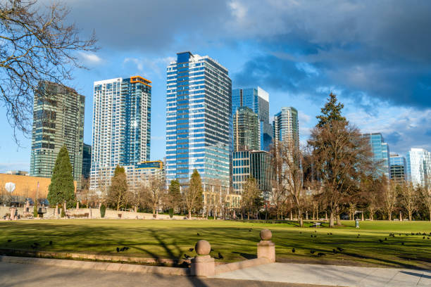 istock Bellevue Buildings From Park 3 2199157608