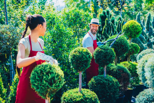 istock Gardener in garden center pruning the trees 2199157704