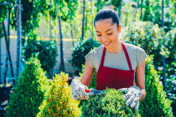 istock Gardener in garden center pruning the trees 2199157771