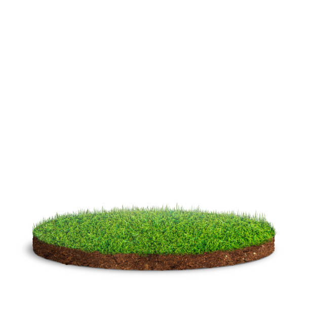 istock isolated circle shape lawn on background. 3d illustration of grass land. 2199160521