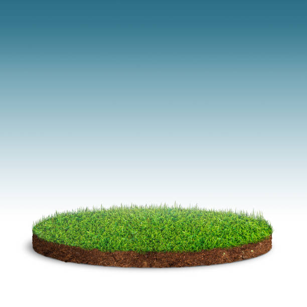 istock isolated circle shape lawn on background. 3d illustration of grass land. 2199160573