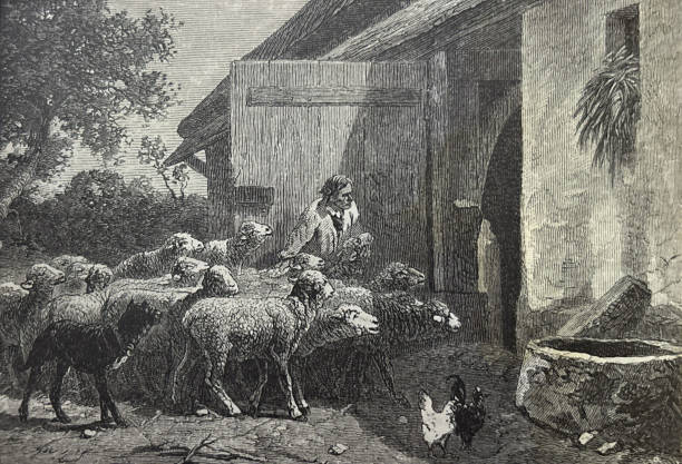 istock Antique illustration - Return of the Flock - Painting by Charles Jacque 2199163380