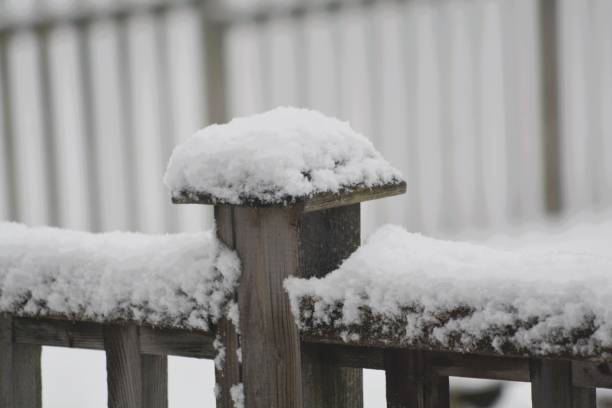A snow-dusted wooden fence stretches along a quiet rural path, creating repeating vertical lines. Soft snowfall and mossy posts evoke a serene winter scene of nature, cold air, and calm