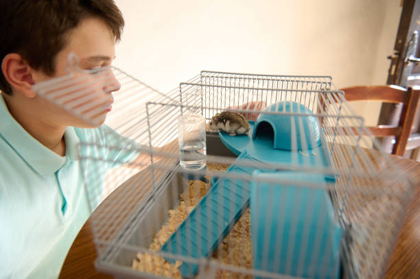 istock Young Boy Engaged in Observing His Pet Hamster in a Cage 2199167247