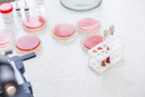 Medical equipment test in laboratory. Laboratory examination with microscope. Equipment with sample on white background