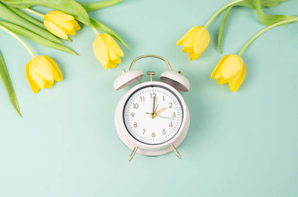 istock Alarm clock with yellow tulip flowers, switch to daylight saving time in spring, summer time changeover 2199169051