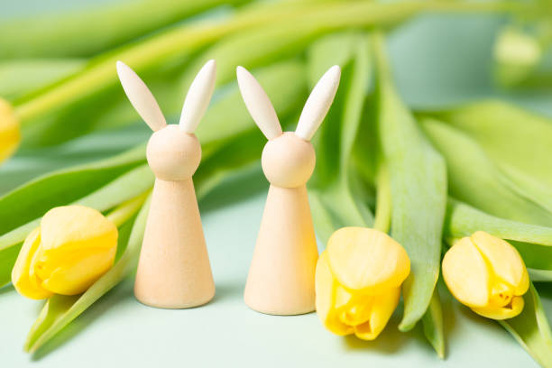 Easter bunny or rabbit smiling, happy face, yellow tulip flowers, spring holiday greeting card