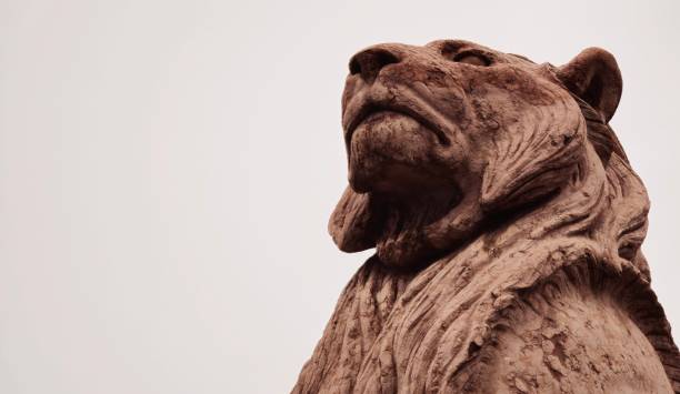 Copper lion