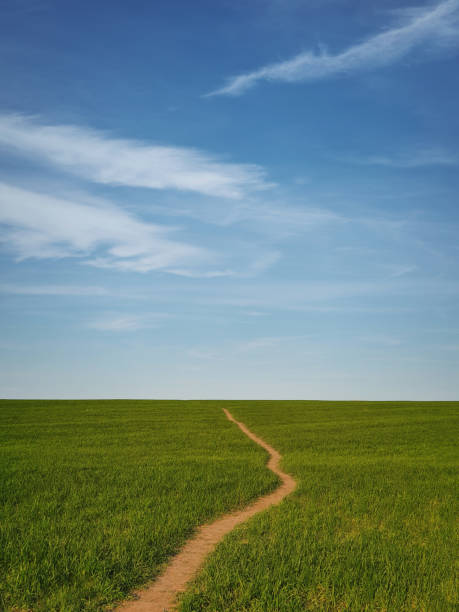 istock Narrow footpath across a growing wheat green field below a blue sky. Natural spring vertical orientation minimalist background. Peaceful scene with a path to the horizon, idyllic rural landscape. 2199173134