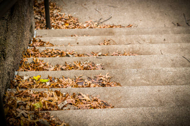close-up of stone stairs steps in the park autumn backdrop. natural fall beautiful minimalist background with foliage. abstract concept journey, moving forward, meeting challenges, healthy lifestyle