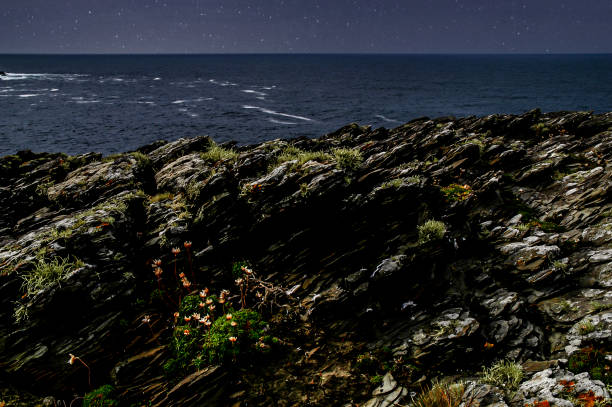 Starry Night Over the Cliffs on Dingle Peninsula in Ireland