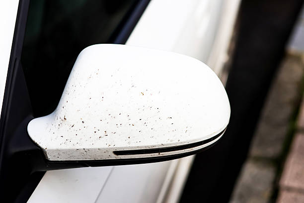istock White rearview mirror of a car 2199179288