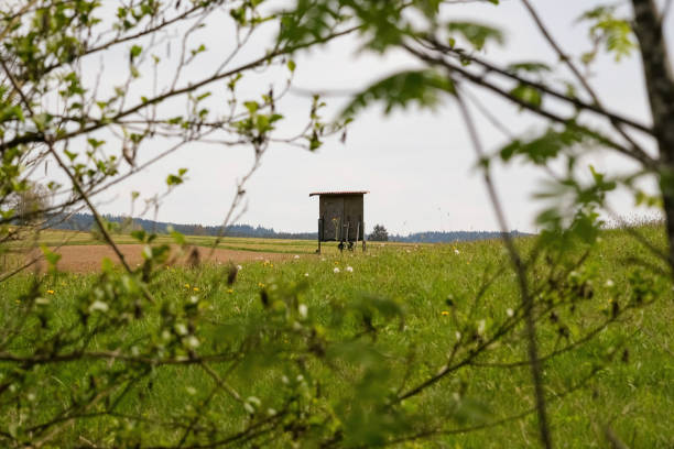 istock Hunter's Tower in a Bavarian Field Surrounded by Scenic Nature 2199181618