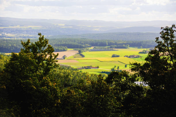 Scenic Mountain View Over Forest and Farmland with Distant Peaks