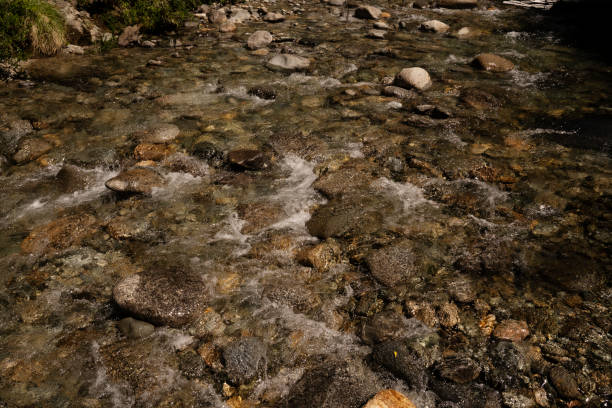 Closeup view of the fresh water stream with a rocky bed.