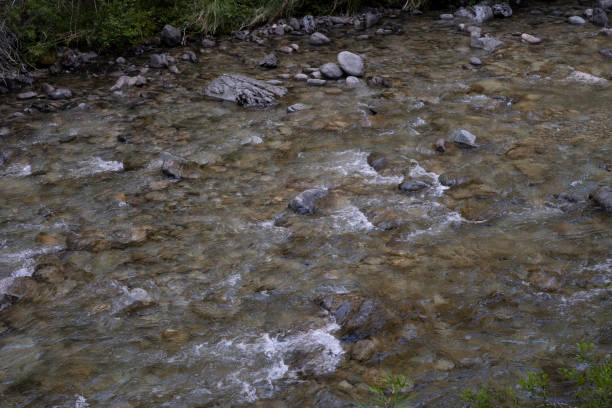 The rapids. Closeup view of the fresh water stream with a rocky bed.