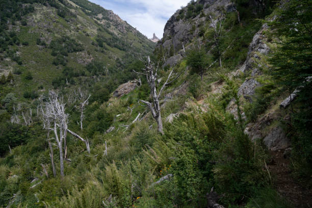istock View of the green hills 2199205336