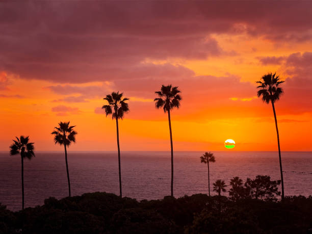 Sunset in Encinitas California between the palm trees over the ocean