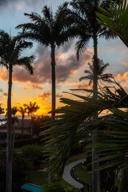 istock a sunset in Kauai Hawaii 2199222585