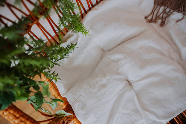 istock Cozy woven chair with soft cushion and greenery in a bright indoor setting 2199249567