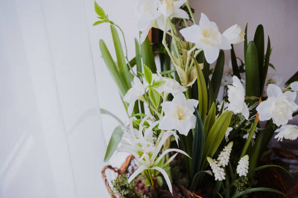 istock Beautiful white flowers arranged in a basket near a bright window 2199249698