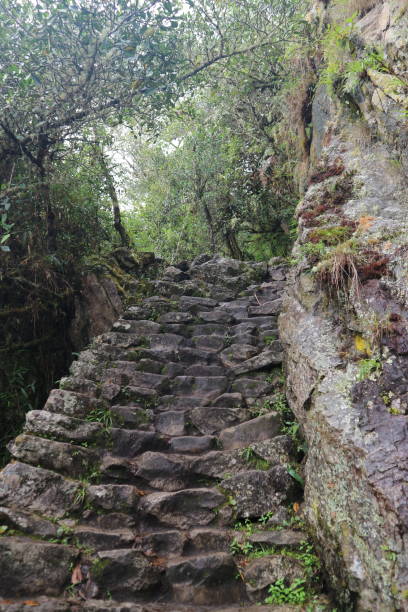 istock Worn out steps of the Machu Picchu mountain 2199265961