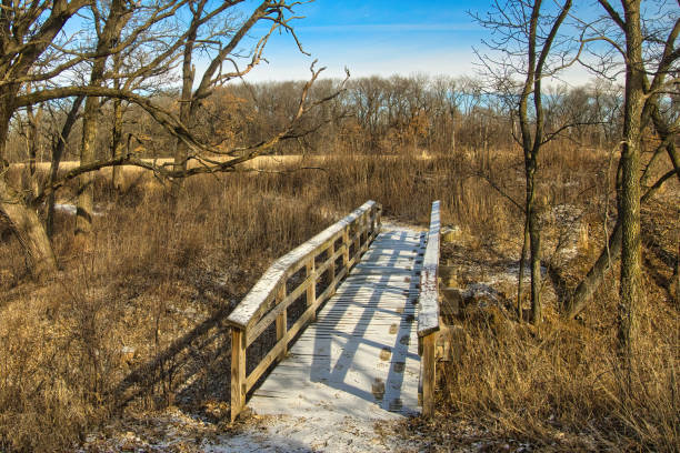 istock Small Footbridge Near Ice Age Trail 2199267464