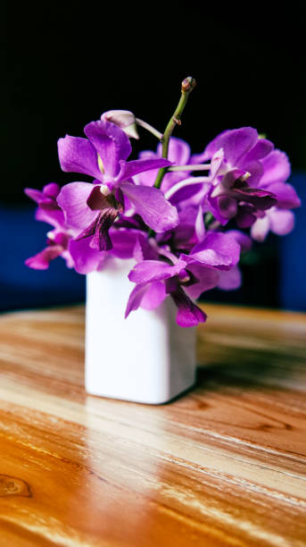 istock Purple orchid flowers photographed from close range. 2199280657