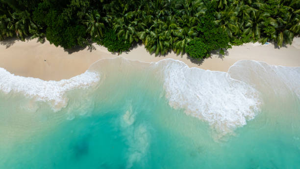 istock Secluded tropical beach with lush greenery and turquoise water. Seychelles, Mahe. 2199286353
