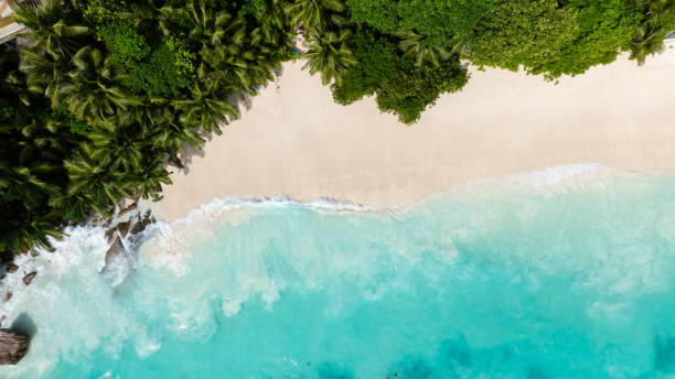 istock Azure ocean and sandy shoreline, Seychelles, Mahe. 2199286518