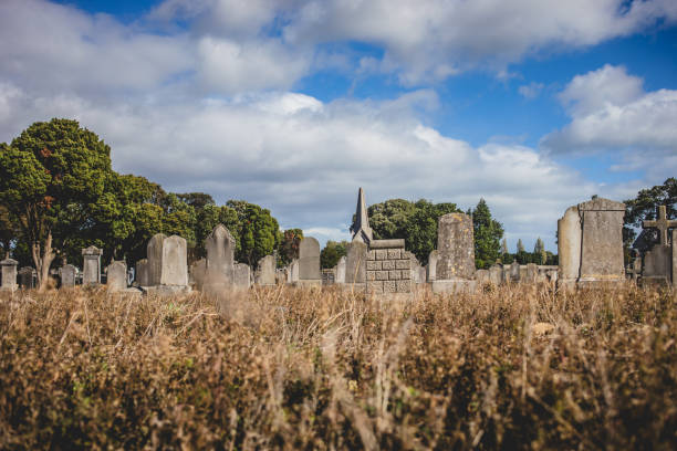 istock Overgrown graves in Glasnevin Cemetery, Dublin 2199287494