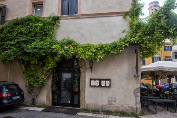 A restaurant with a tree growing on the wall, Verona, Italy