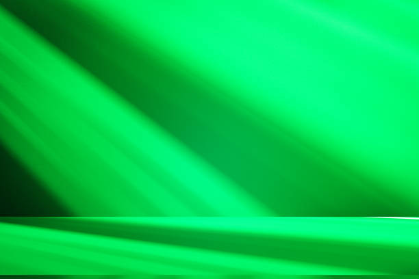 Studio style background wall decoration presentation uses white and green tones. with shadows cast from a nearby window, concept creating a decorative
