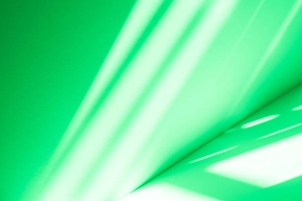istock Studio style background wall decoration presentation uses white and green tones. with shadows cast from a nearby window, concept creating a decorative 2199291354