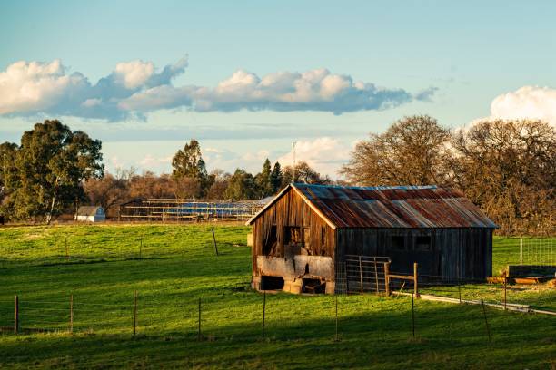istock Rustic barn on a lush green field under a partly cloudy sky. 2199293068