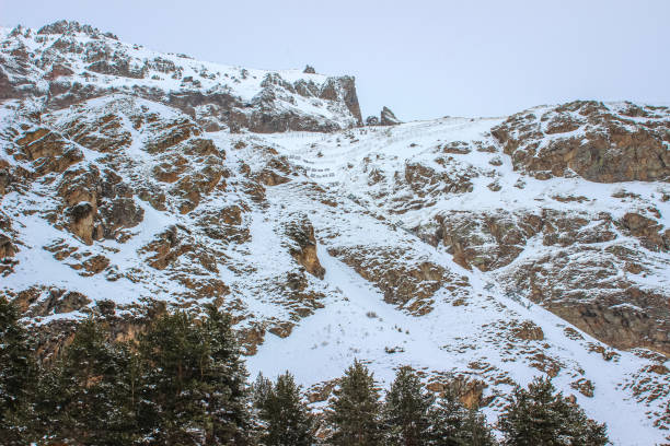 Snow-Covered Rocks and Conifer Trees on Mountain Slope