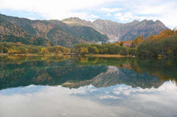 A mountain stream sparkles in the soft light of the setting sun, surrounded by lush autumn vegetation. This video portrays the peacefulness of nature, highlighting Japan’s pristine waterways and seasonal landscapes.
