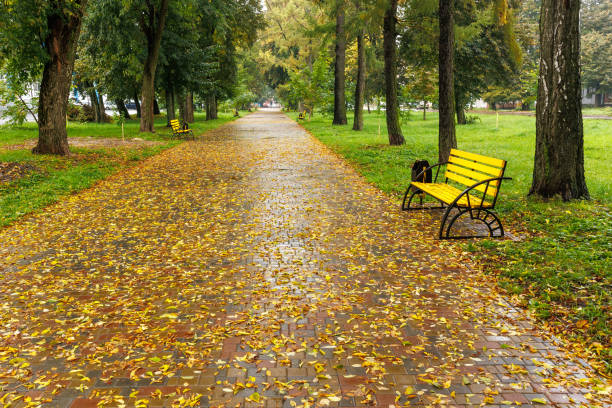 istock Autumn park pathway covered in yellow leaves 2199301586