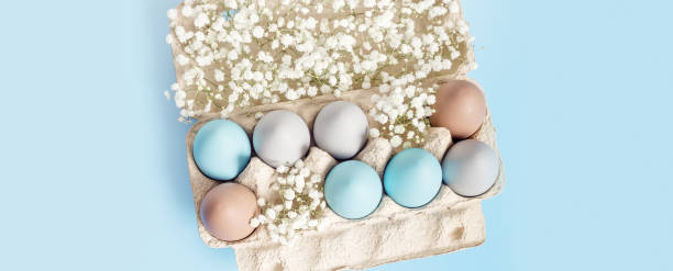 istock Pastel Easter Eggs with white Flowers in Carton box on Blue Background, top view chicken egg painted sky blue, beige colors. Easter celebration concept. Festive food, minimal still life holiday 2199302280
