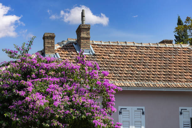 Bougainvillea blooming outside an old stone house.