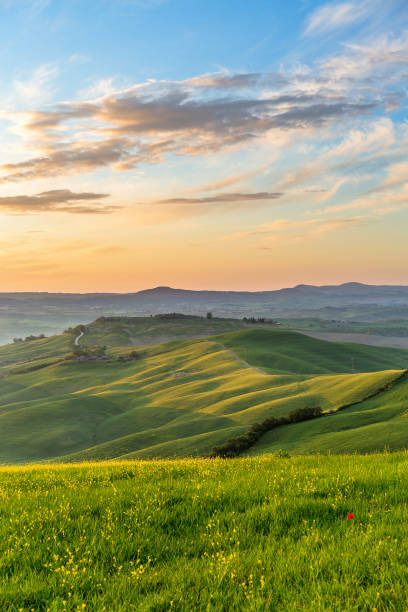 istock Sunrise in a hilly meadow landscape 2199311804