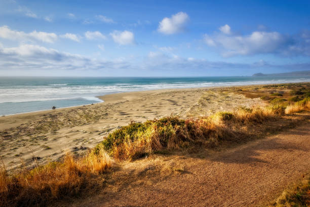 istock Blue sky over a golden sand beach in California 2199314072