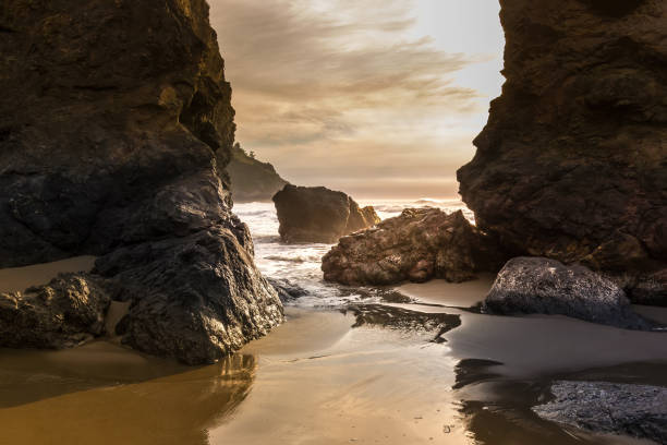 Rocks on the pacific coast during sunset in California